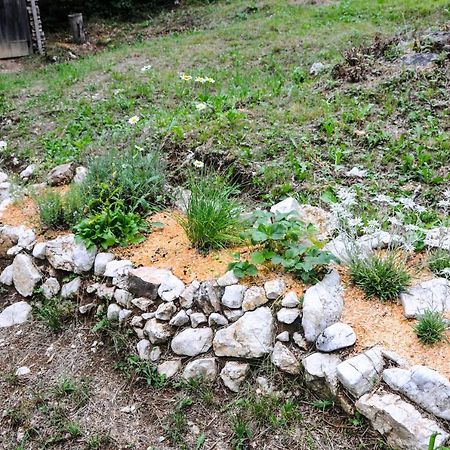 Gorska Hiska Vogar Nad Bohinjskim Jezerom Luaran gambar