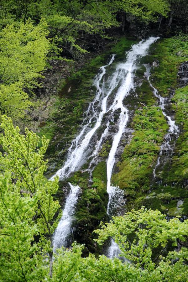 Gorska Hiska Vogar Nad Bohinjskim Jezerom Luaran gambar